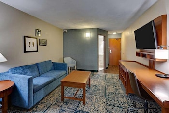 Suite, 1 King Bed, Non Smoking