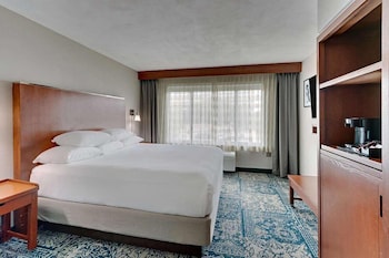 Deluxe Room, 1 King Bed, Non Smoking