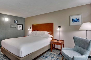 Deluxe Room, 1 King Bed, Non Smoking, Terrace