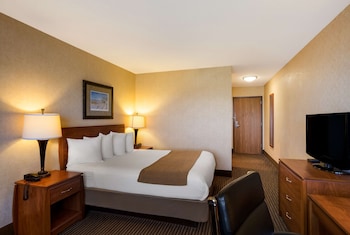 Standard Room, 1 Queen Bed, Accessible, Refrigerator & Microwave (Walk-in Shower)