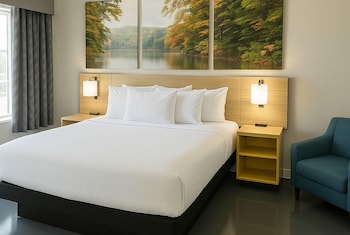 Room, 1 King Bed, Mobility Accessible, Non Smoking (Bathtub w/ Grab Bars)