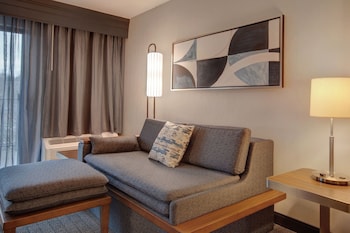 Suite, 1 Bedroom