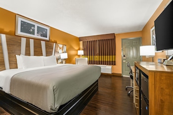 Standard Room, 1 King Bed, Non Smoking