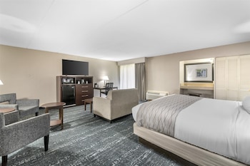 Standard Room, 1 King Bed, Non Smoking, Refrigerator & Microwave (with Sofabed)