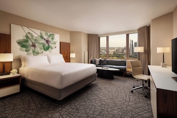 Room, 1 King Bed, Park View (Accessible, Views Millenium Park Lake)