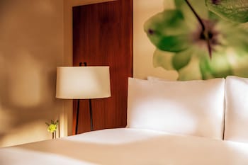 Room, 1 King Bed, Roll-in Shower, Park View