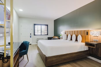 Standard Room, 1 King Bed, Non Smoking, Jetted Tub (Walk-in Shower)