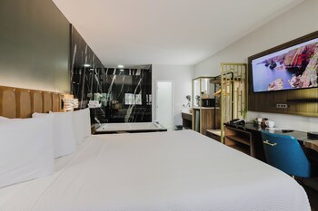 Standard Room, 1 King Bed, Non Smoking, Jetted Tub (Walk-in Shower)