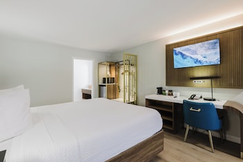 Standard Room, 1 King Bed, Non Smoking, Refrigerator & Microwave (Shower Only;with Sofabed)
