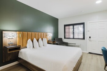 Standard Room, 1 King Bed, Accessible, Refrigerator & Microwave