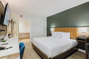 Standard Room, 1 King Bed, Accessible, Refrigerator & Microwave