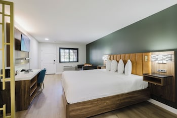 Standard Room, 1 King Bed, Non Smoking, Refrigerator & Microwave (Shower Only;with Sofabed)