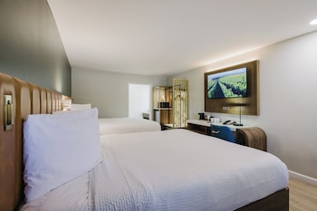 Standard Room, Multiple Beds, Non Smoking, Refrigerator & Microwave (Shower Only)
