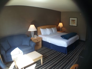 Superior Room, 1 King Bed, Non Smoking
