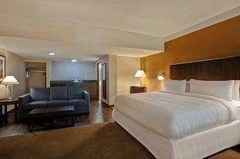 Room, 1 King Bed