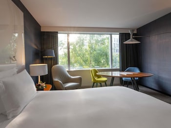 Room, 1 King Bed (Magnifique)