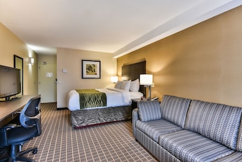 Comfort Care, Standard Room, 1 Queen Bed with Sofa bed