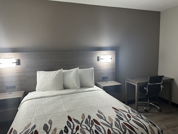 Superior Room, 1 Queen Bed, Accessible, Non Smoking (Roll-In Shower)