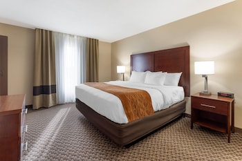 Standard Room, 1 King Bed, Non Smoking