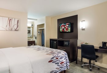 Superior Room, 1 King Bed, Non Smoking