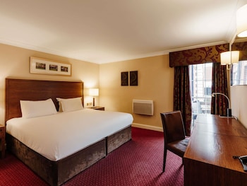 Suite, 1 King Bed