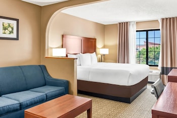 Suite, 1 King Bed with Sofa bed, Non Smoking