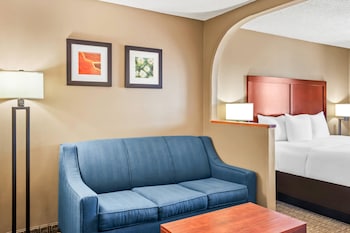 Suite, 1 King Bed with Sofa bed, Non Smoking