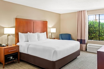 Standard Room, 1 King Bed, Accessible, Non Smoking