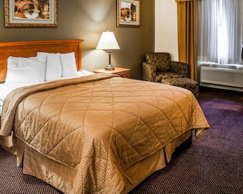 Room, 1 Queen Bed