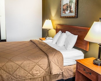 Room, 1 Queen Bed