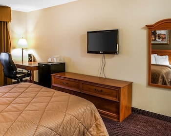 Room, 1 Queen Bed