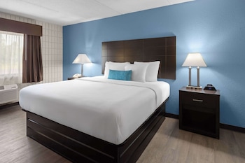 Junior Suite, 1 King Bed, Non Smoking
