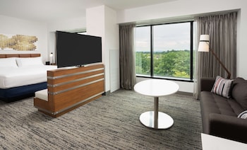 Room, 1 King Bed