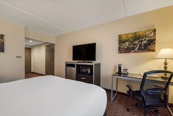 Standard Room, 1 Queen Bed, Accessible, Refrigerator & Microwave