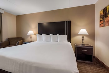Standard Room, 1 King Bed, Non Smoking, Refrigerator & Microwave