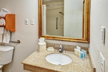Room, 1 King Bed, Accessible