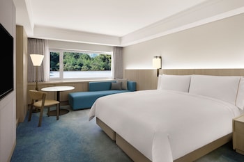 Deluxe Park King, 1 King, Dongbaek Park view