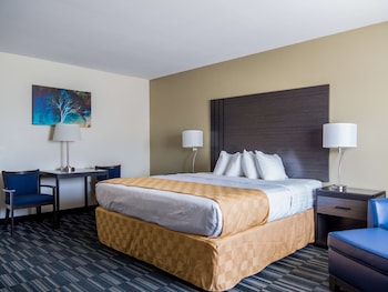 Standard Room, 1 King Bed, Accessible, Non Smoking