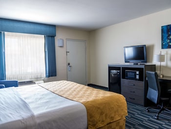 Standard Room, 1 King Bed, Non Smoking, Refrigerator & Microwave