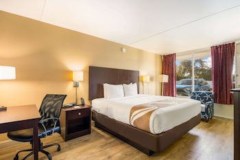 Standard Room, 1 King Bed, Non Smoking