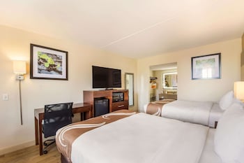 Deluxe Double Room, 2 Double Beds, Non Smoking