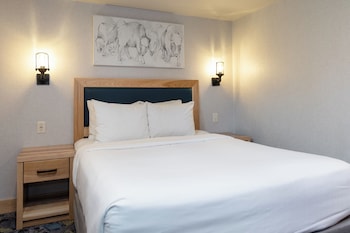 Condo, 1 Queen Bed with Sofa bed