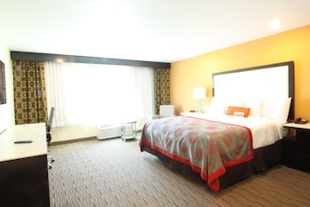 Business Room, 1 King Bed, Non Smoking