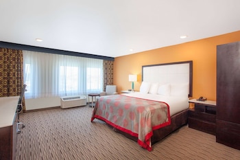 Business Room, 1 King Bed, Non Smoking