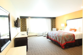 Business Room, 1 King Bed, Non Smoking