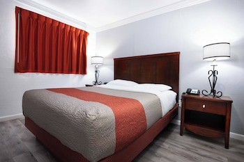 Deluxe Room, 1 Queen Bed, Non Smoking, Refrigerator & Microwave