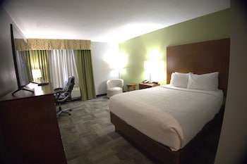 Basic Studio Suite