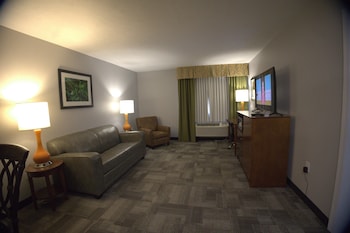 Basic Studio Suite
