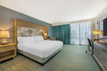 Standard Room, 1 King Bed, Accessible Bathtub (Mobility)
