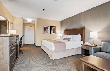 Standard Room, 1 King Bed, Jetted Tub, Tower